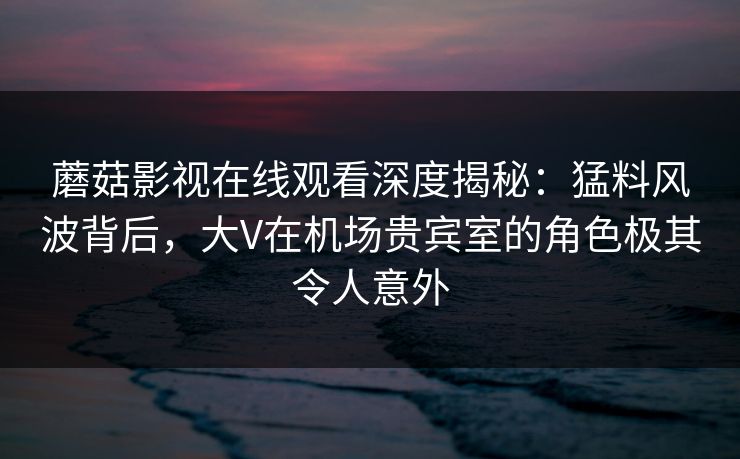 蘑菇影视在线观看深度揭秘：猛料风波背后，大V在机场贵宾室的角色极其令人意外