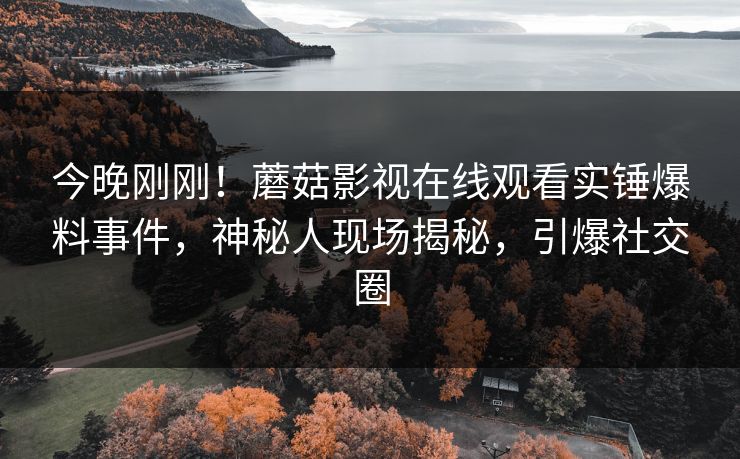 今晚刚刚！蘑菇影视在线观看实锤爆料事件，神秘人现场揭秘，引爆社交圈