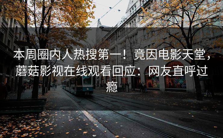 本周圈内人热搜第一！竟因电影天堂，蘑菇影视在线观看回应：网友直呼过瘾