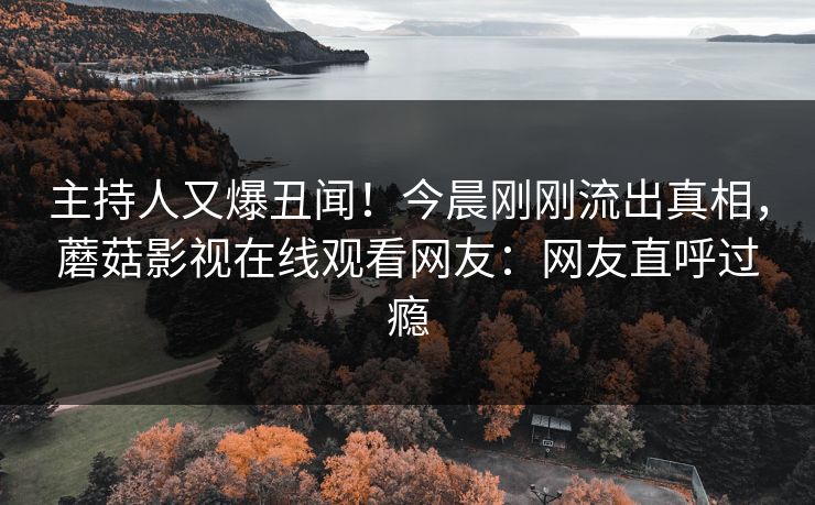 主持人又爆丑闻！今晨刚刚流出真相，蘑菇影视在线观看网友：网友直呼过瘾