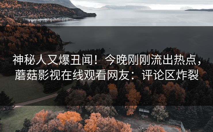 神秘人又爆丑闻！今晚刚刚流出热点，蘑菇影视在线观看网友：评论区炸裂