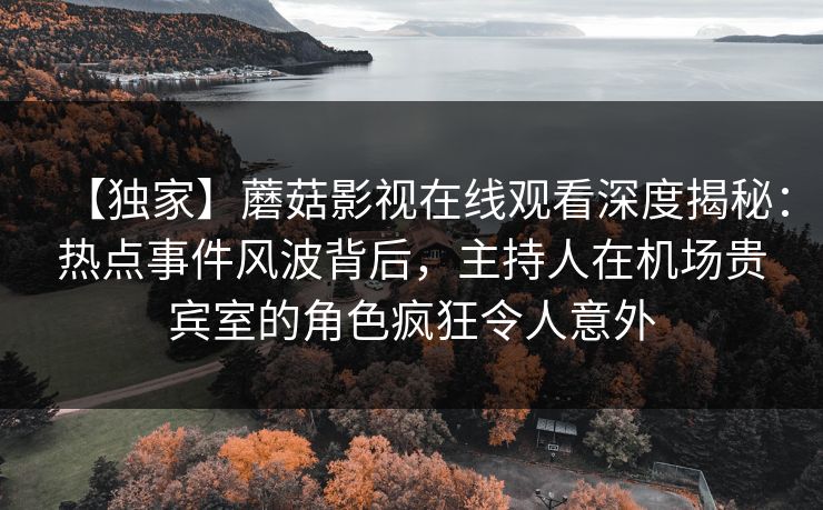 【独家】蘑菇影视在线观看深度揭秘:热点事件风波背后,主持人在机场贵宾室的角色疯狂令人意外