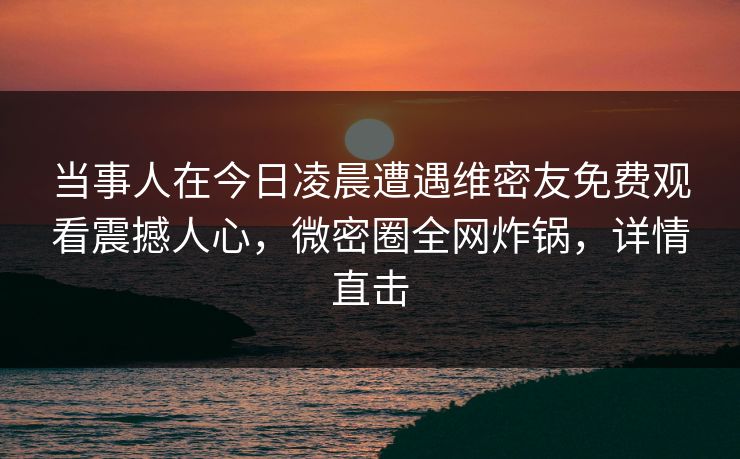 当事人在今日凌晨遭遇维密友免费观看震撼人心,微密圈全网炸锅,详情直击